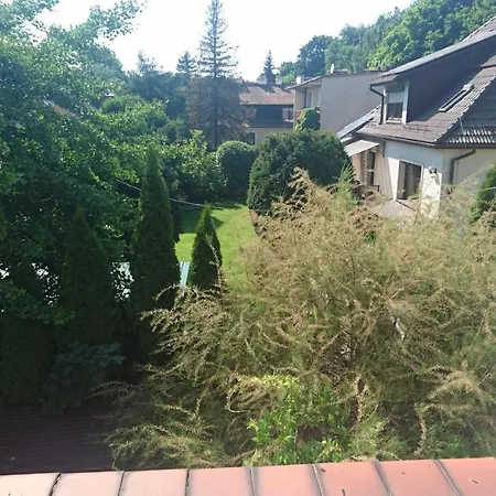 3a Samodzielne Mieszkanie Dwupokojowe Z Aneksem Kuchennym Pokoje Przechodnie Halczyna 9 Alfa Appartement *